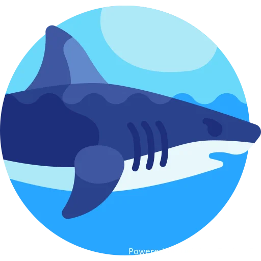 Фильмы про акул